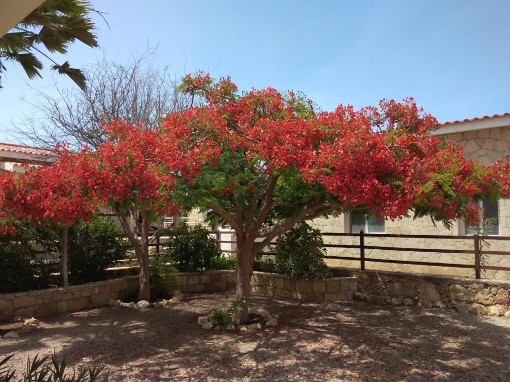Casita Solemar Direkt Am Atlantik Villa Calheta ภายนอก รูปภาพ